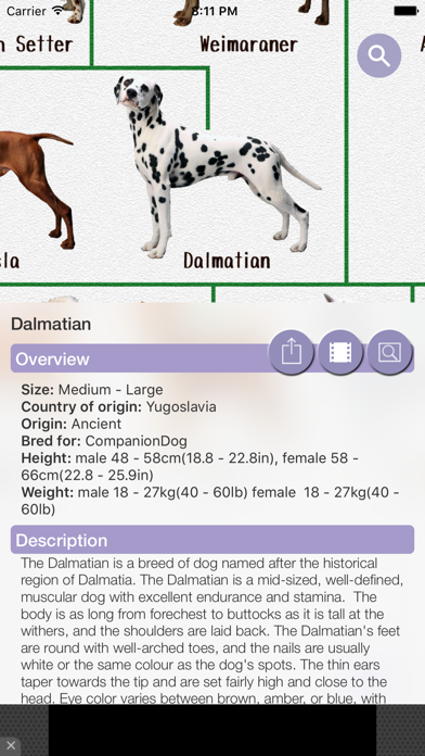 Dog's Family screenshot 3