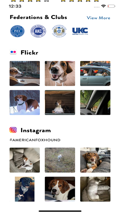 Dogs Pedia: Breed identifier screenshot 2