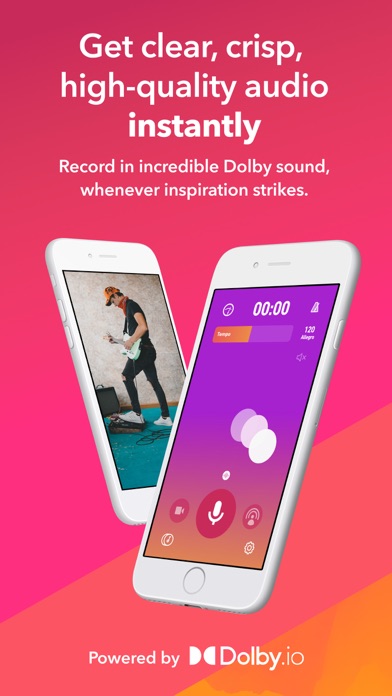 Dolby On: Record Audio & Video screenshot 8
