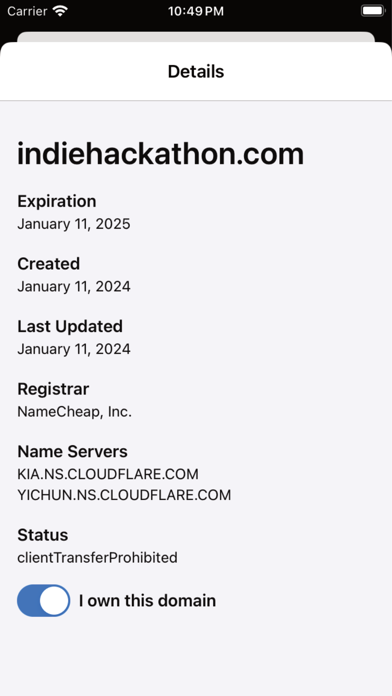 Domain Copilot screenshot 2