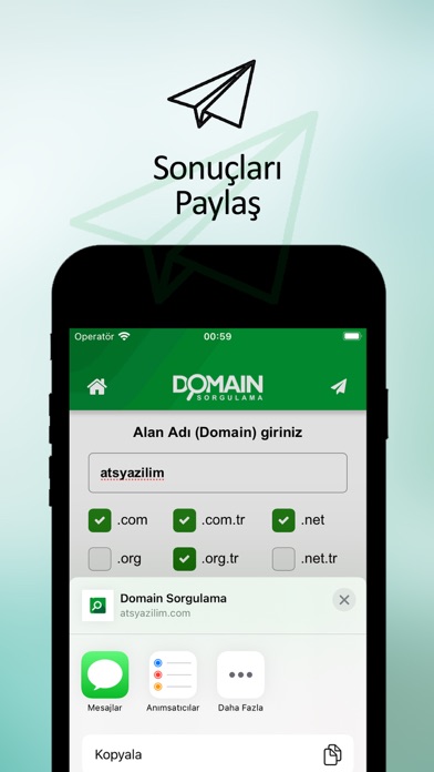 Domain Whois screenshot 1