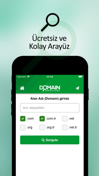Domain Whois screenshot 3