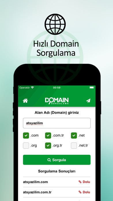 Domain Whois screenshot 2