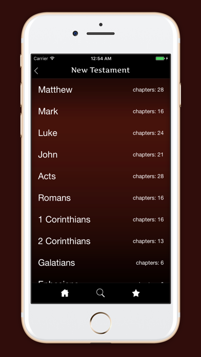 Douay-Rhiems Catholic Bible screenshot 4