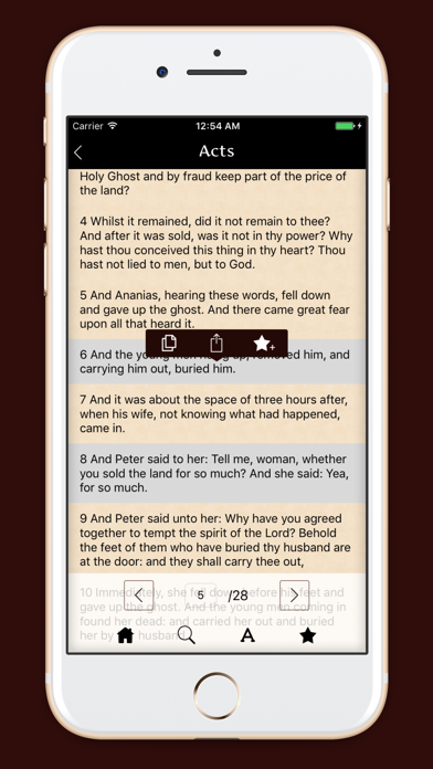 Douay-Rhiems Catholic Bible screenshot 3