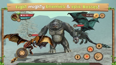Dragon Sim Online screenshot 1