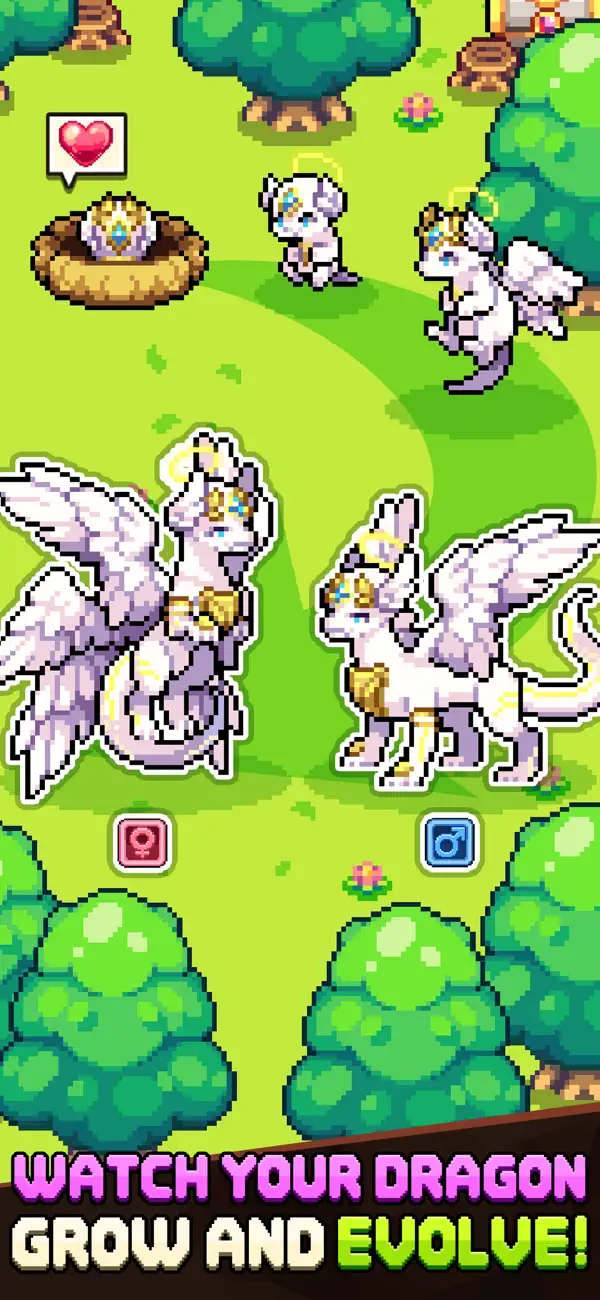 Dragon Village Collection screenshot 2