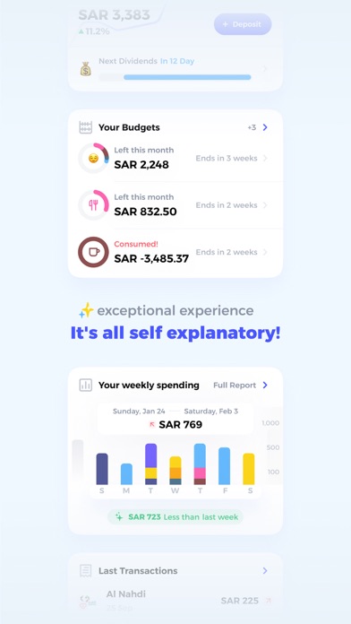 Drahim: Manage & Grow Finances screenshot 2
