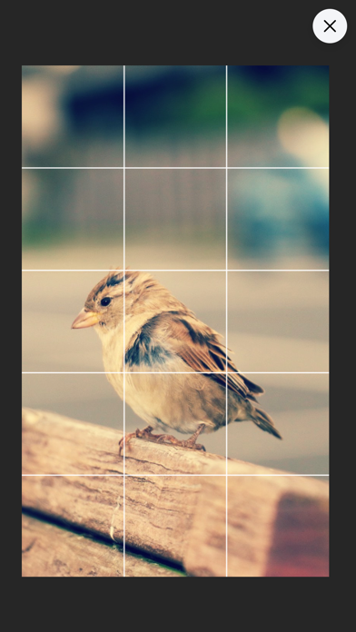 DrawinGrid screenshot 1