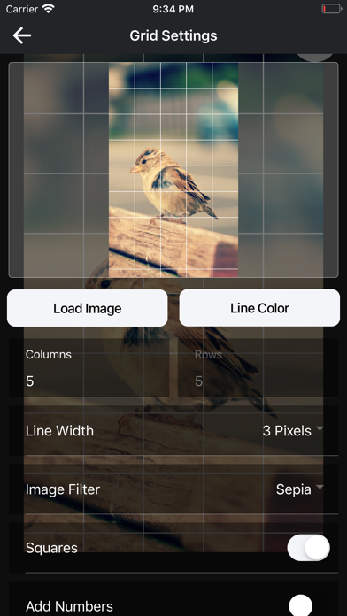 DrawinGrid screenshot 3