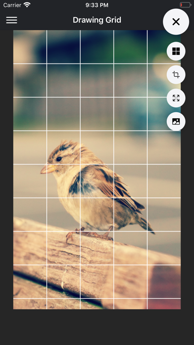 DrawinGrid screenshot 4