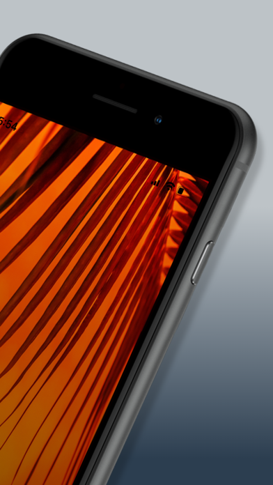 Drip Creative Studio screenshot 4