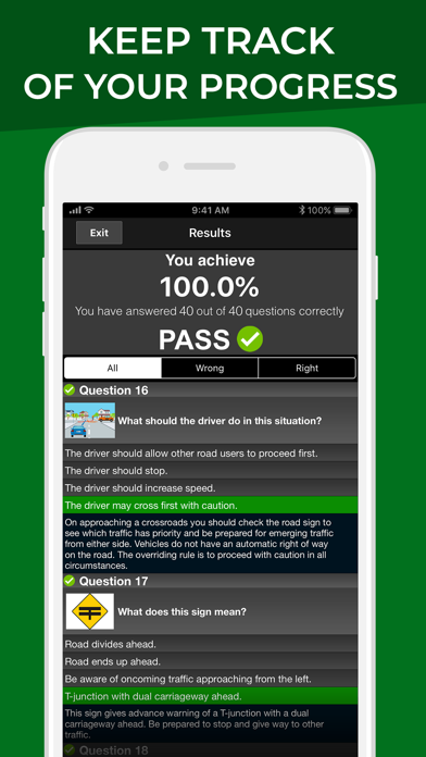 Driver Theory Test Ireland DTT screenshot 2