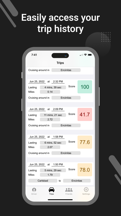DriveSafe Pro screenshot 2