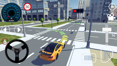 Driving School Simulator 3D screenshot 3