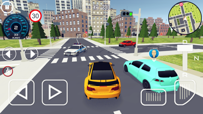Driving School Simulator 3D screenshot 1