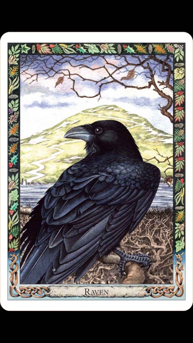 Druid Oracle Cards screenshot 4