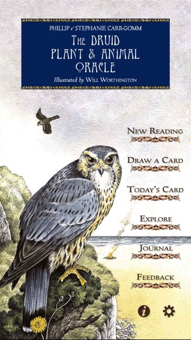 Druid Oracle Cards screenshot 5
