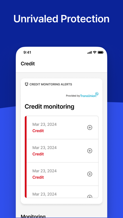 ΙDShield: Protect What Matters screenshot 3