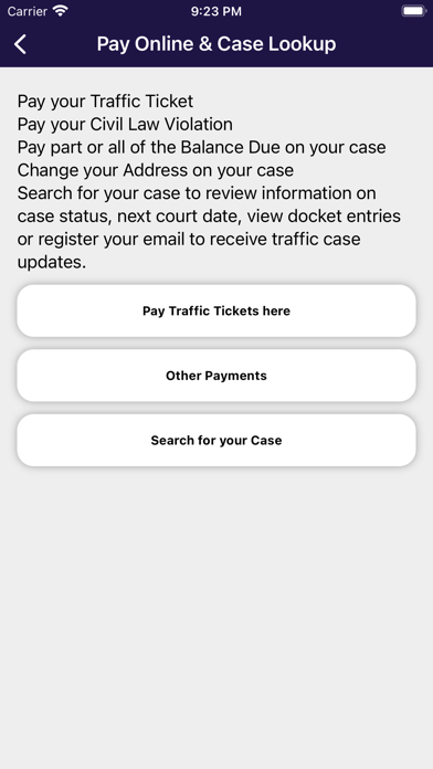 DuPage County Circuit Clerk screenshot 3