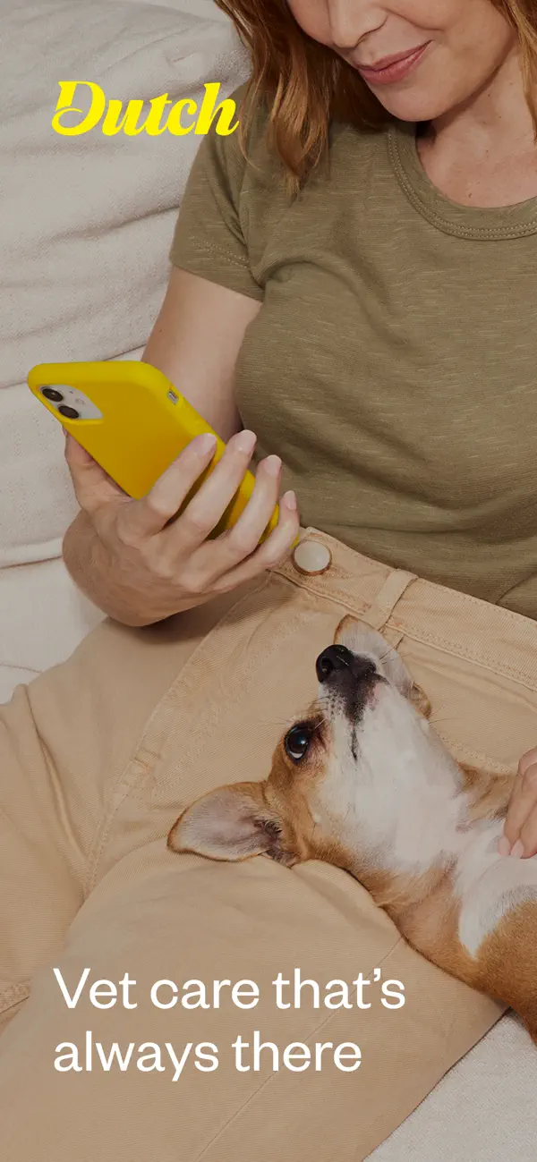 Dutch Pet - Online vet 24/7 screenshot 6
