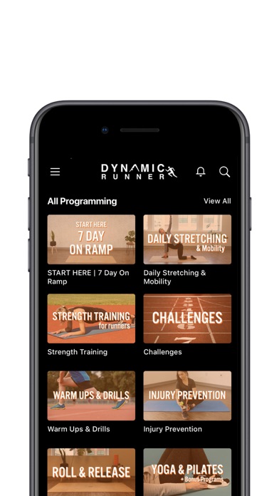 Dynamic Runner screenshot 2
