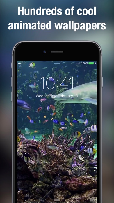 Dynamic wallpapers & themes screenshot 2