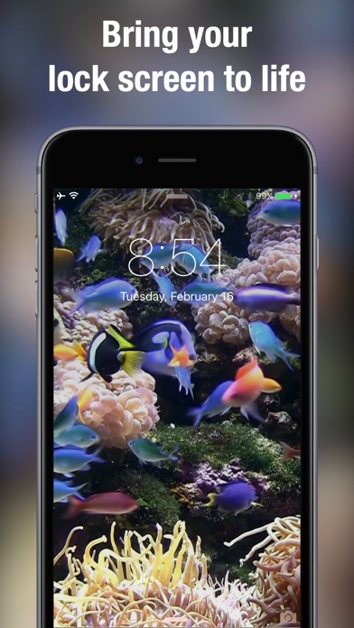 Dynamic wallpapers & themes screenshot 4