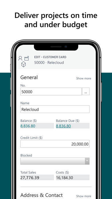 Dynamics 365 Business Central screenshot 2