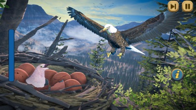 Eagle Bird Wild Life Sim Games screenshot 4