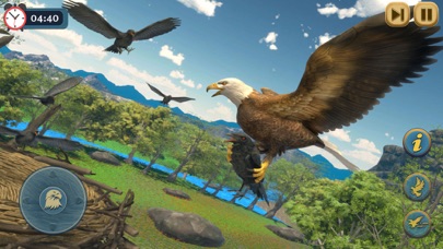 Eagle Bird Wild Life Sim Games screenshot 1