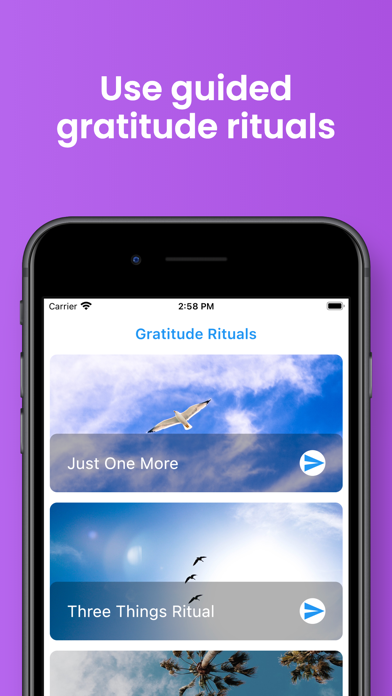Earnest Gratitude Journal screenshot 4