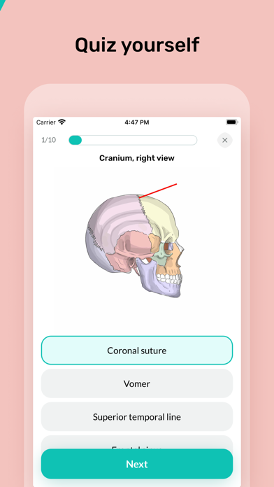 Easy Anatomy 3D screenshot 7
