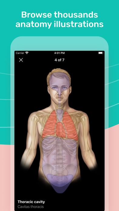 Easy Anatomy 3D screenshot 9