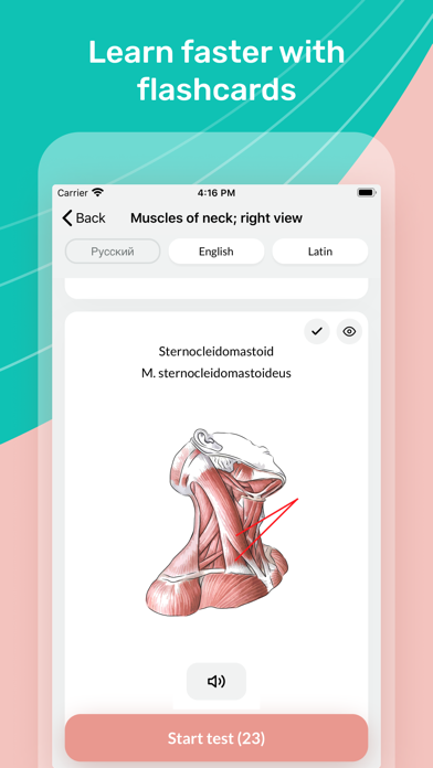 Easy Anatomy 3D screenshot 8