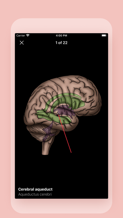 Easy Anatomy 3D screenshot 2