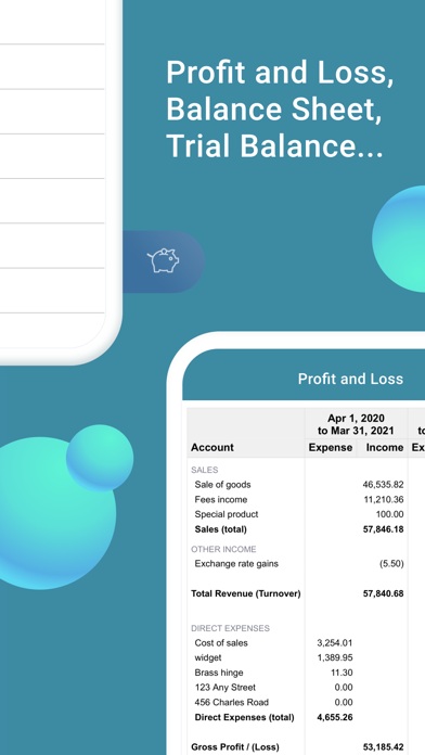 EasyBooks Expenses, Accounting screenshot 2