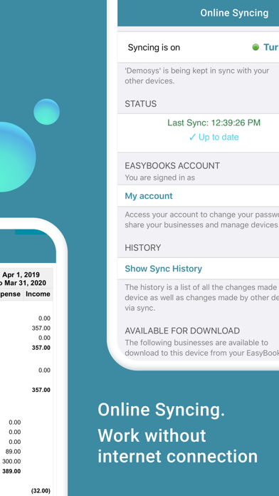 EasyBooks Expenses, Accounting screenshot 1