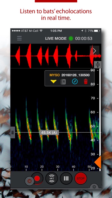 Echo Meter Touch Bat Detector screenshot 3