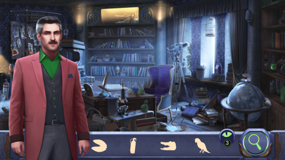 Edgar Poe: Find Hidden Objects screenshot 3
