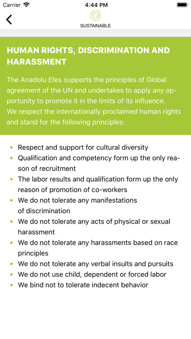 Efes rus code of conduct screenshot 1