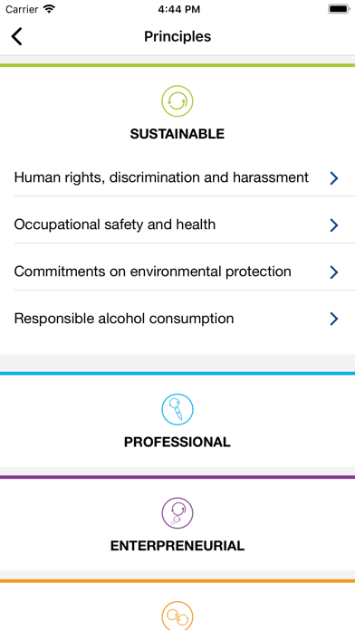 Efes rus code of conduct screenshot 2