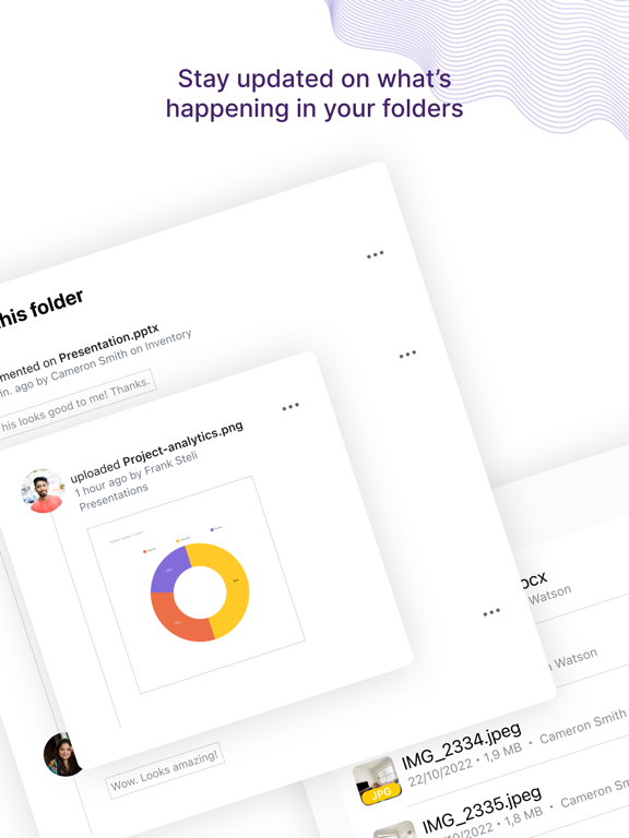 Egnyte screenshot 4