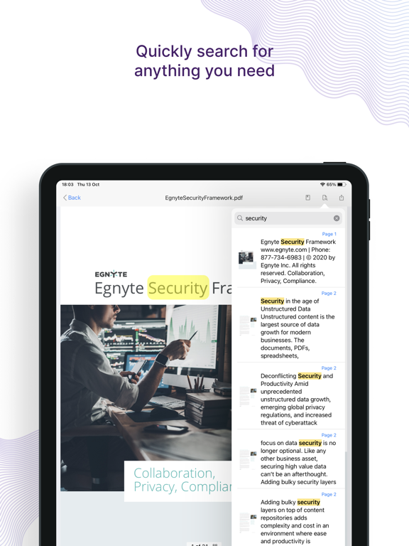 Egnyte screenshot 1