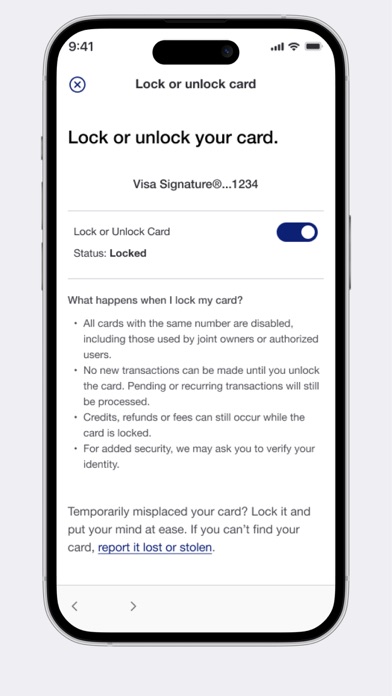 Elan Credit Card screenshot 3