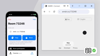 EMDR screenshot 2