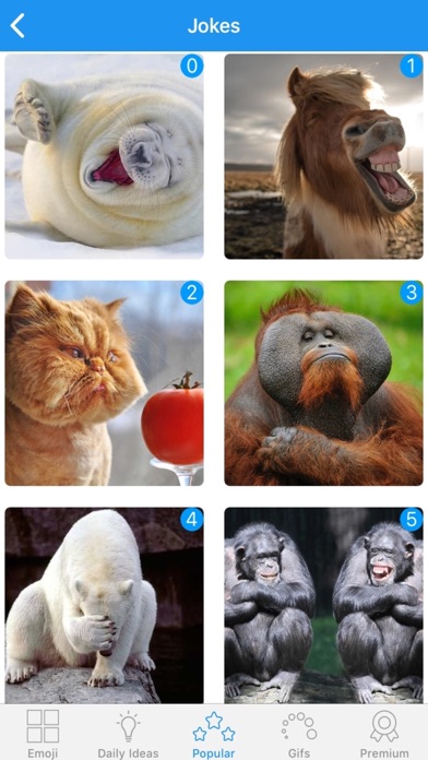 Emoji Elite + GIFs screenshot 3
