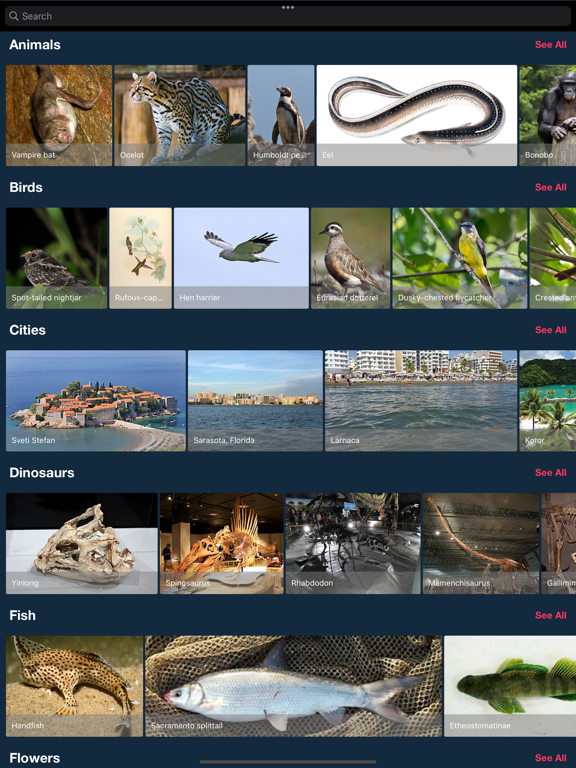 Encyclopedia : 25,000+ topic screenshot 9