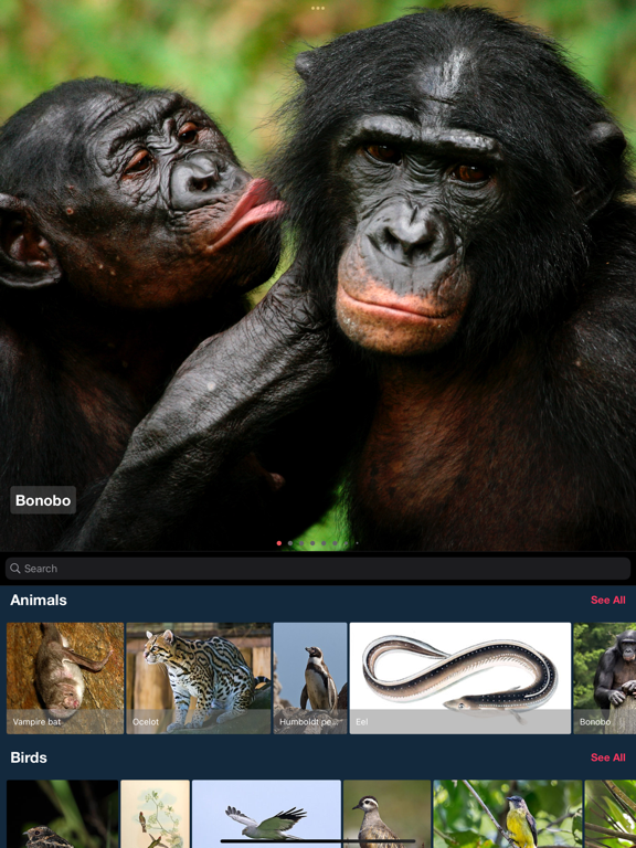 Encyclopedia : 25,000+ topic screenshot 10