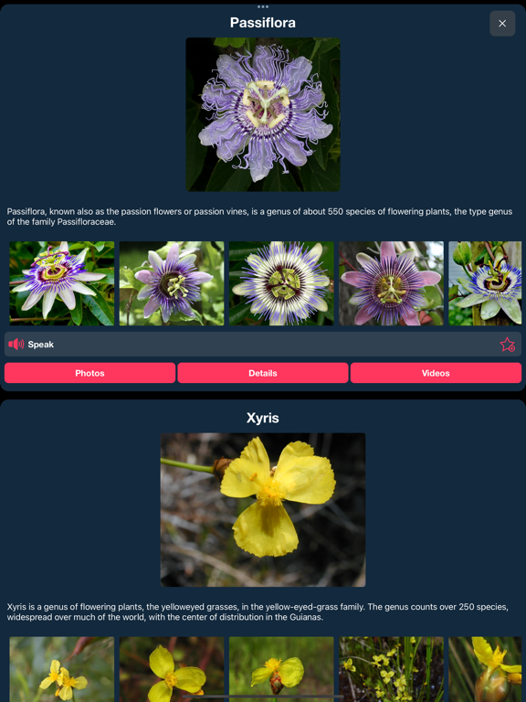 Encyclopedia : 25,000+ topic screenshot 5